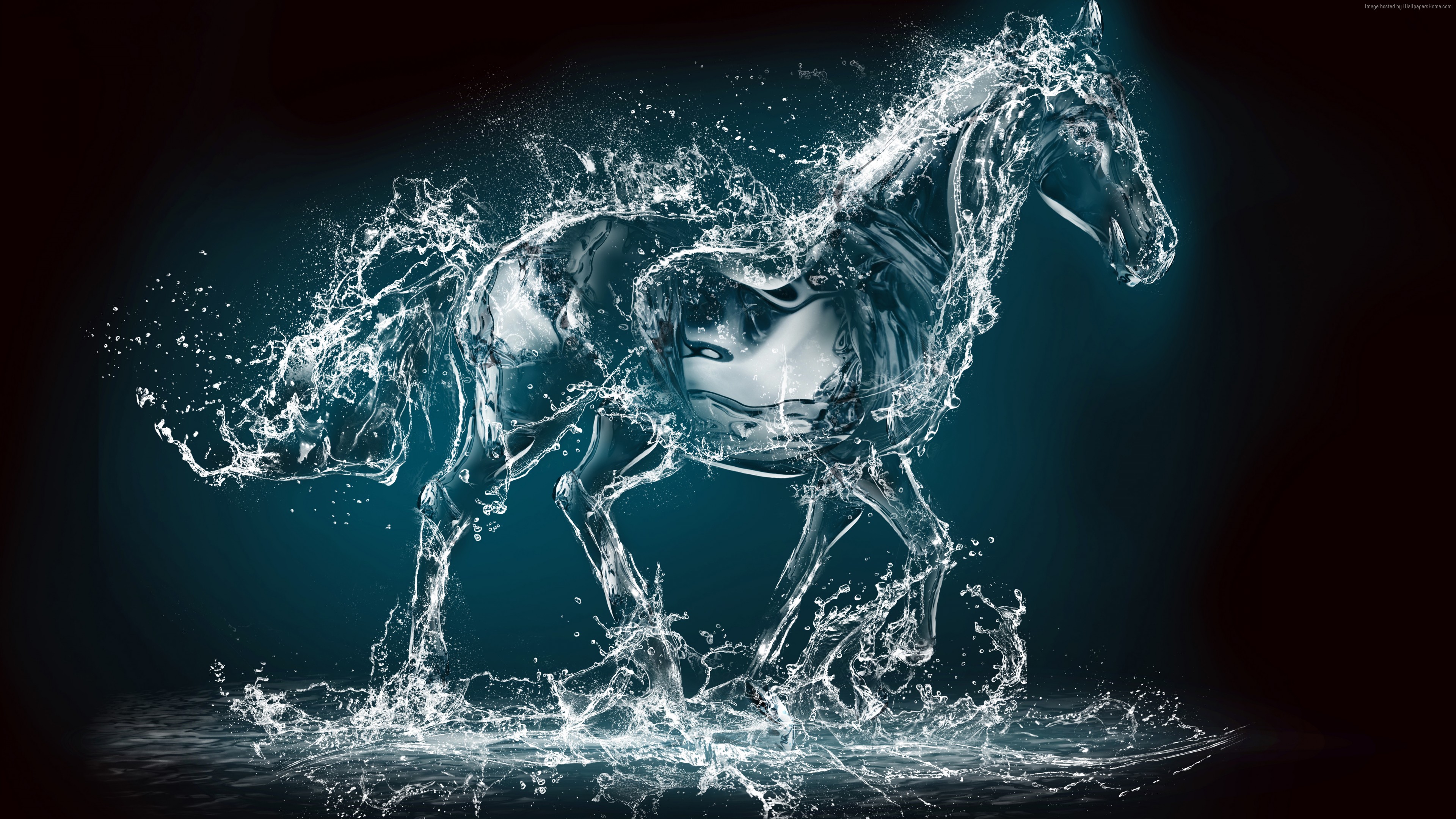 Wallpaper Horse Water Transparent 10k Art Wallpaper Download High Resolution 4k Wallpaper