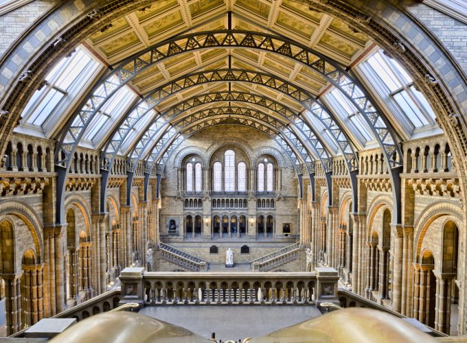 hd natural history museum wallpapes