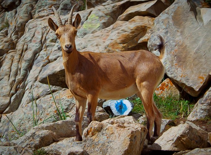 high resolution 4k wallpaper