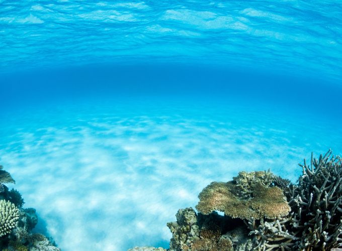 Underwater Wallpaper Hd For Mobile